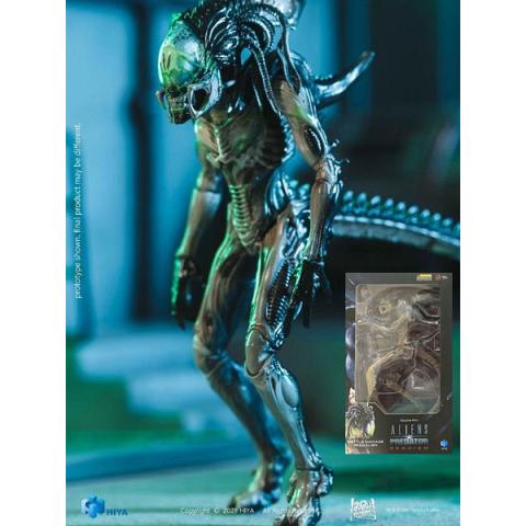 Hiya Toys Alien vs Predator Requiem Battle Damaged Predalien 1:18 Scale Action Figure